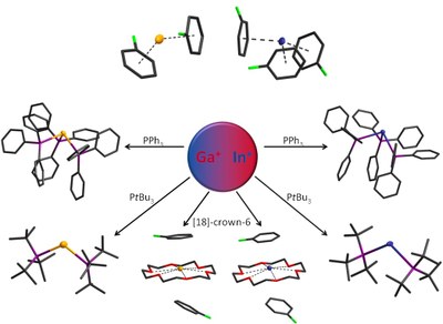 ga-in-complexe-large.jpg